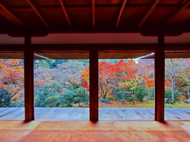 高山寺の石水院からの眺め（2022年）