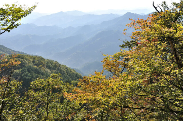 奥武蔵で人気が高く紅葉の季節は多くの登山客でにぎわいます