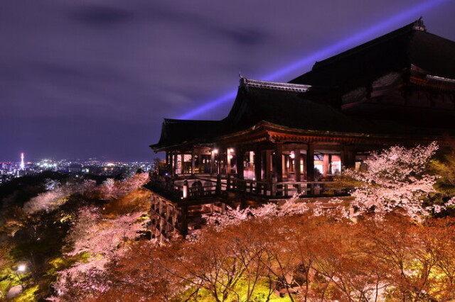 青い光が京都の街を照らします