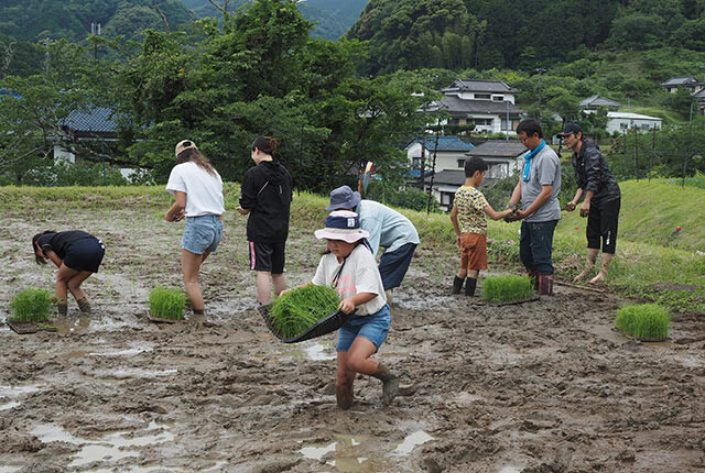 稲を運ぶ子ども