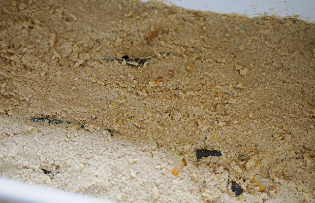 「ぬか」というのは、玄米を精米したときに削られる米粒の外側の部分。この米ぬかと水、塩がぬか床の基本材料。