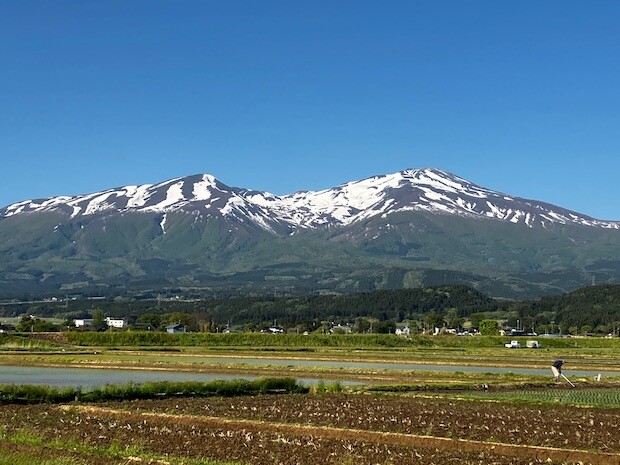 同じ山でも、隣町の山形県遊佐町からはこんなに違って見えるおもしろい山です。