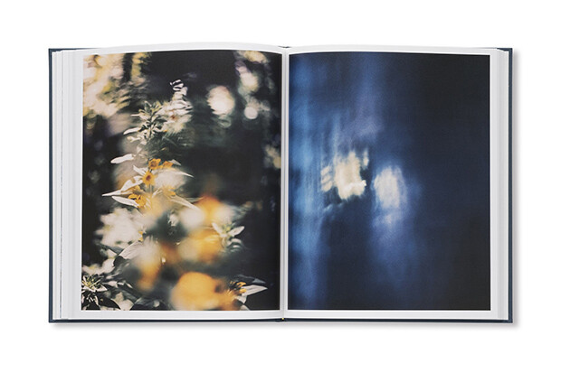 以下3点とも、宮本さんの写真集『spectrum』（torch pressより）。（写真提供：宮本武）