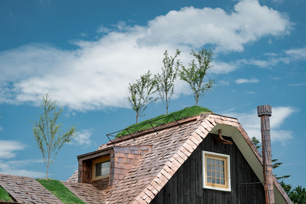 銅板の屋根の上には、フジ桜が植えられ、外壁には焼杉を使用。