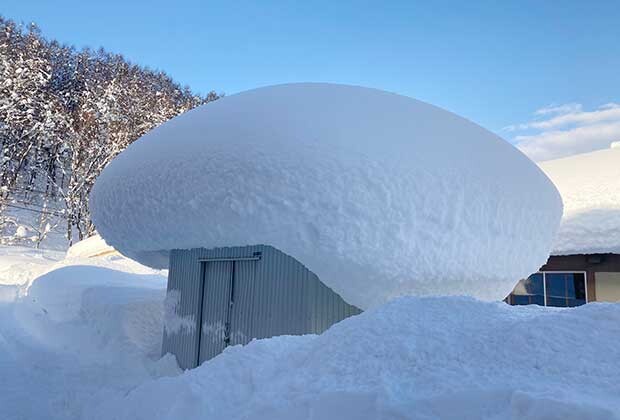豪雪だった年。倉庫の屋根がマッシュルームのよう。