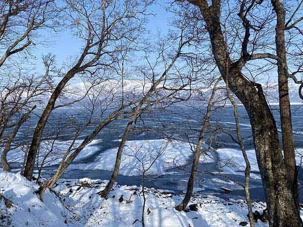 冬の仁伏半島自然散策路では、森の中から屈斜路湖を望むことも。