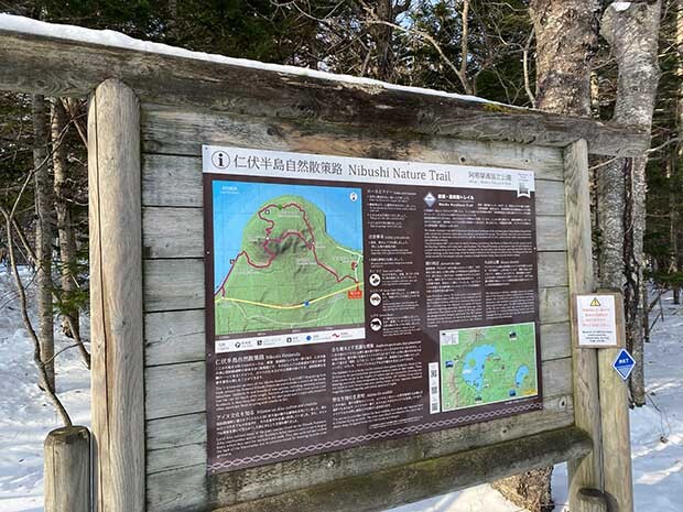 「摩周・屈斜路トレイル」のコースにもなっている、仁伏半島自然散策路は約３キロ。