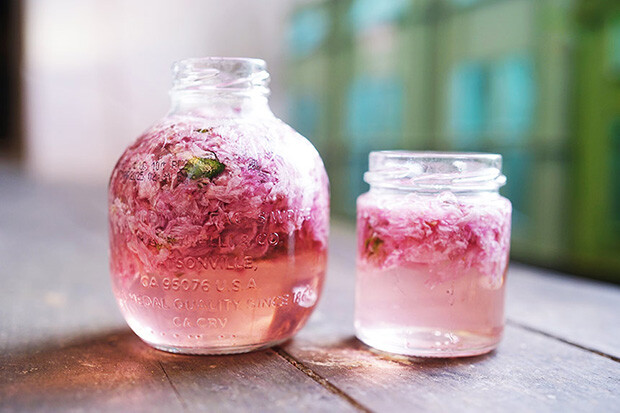 瓶の中でピンクに色づいた桜の花のシロップの写真。