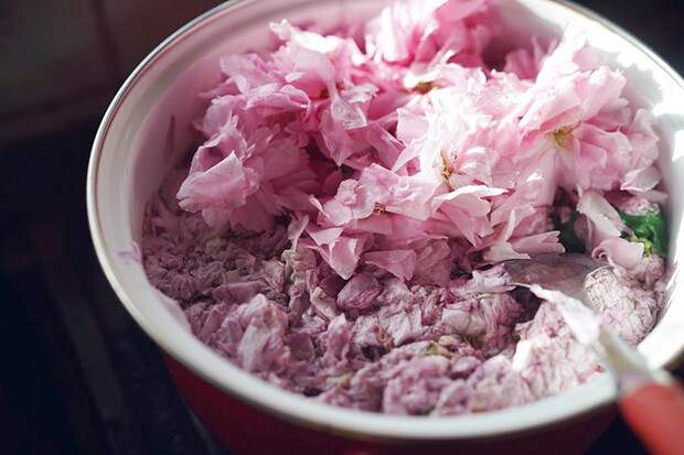 お鍋にたっぷり入った桜の花の写真。
