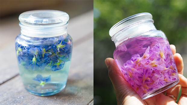 左は青が強く出たスミレの花のシロップの写真。右はレモン果汁を入れたことで明るい紫色に変化したスミレの花のシロップの写真。