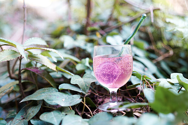 ワイングラスに注がれたカクテルの写真。スミレの花のシロップのピンク色が映えている。