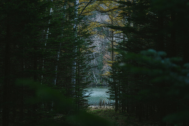 「森の奥に、急にパッと水面が現れる。抱いていた期待が現実になって、気分が上がった瞬間に撮った１枚」（写真提供：Junki Yarinome）