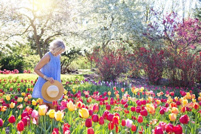 春の花壇や若葉のような明るい色