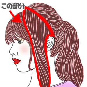 サイドの毛（イラストの赤枠で囲っている部分）を残して、残りの髪をポニーテールにします。ポニーテールの高さはお好みの高さでかまいません