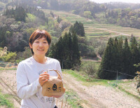 米で好評、富山の棚田米　土遊野の有機米「イセヒカリ」がカリフォルニア州の飲食店で「すしに最適」と人気