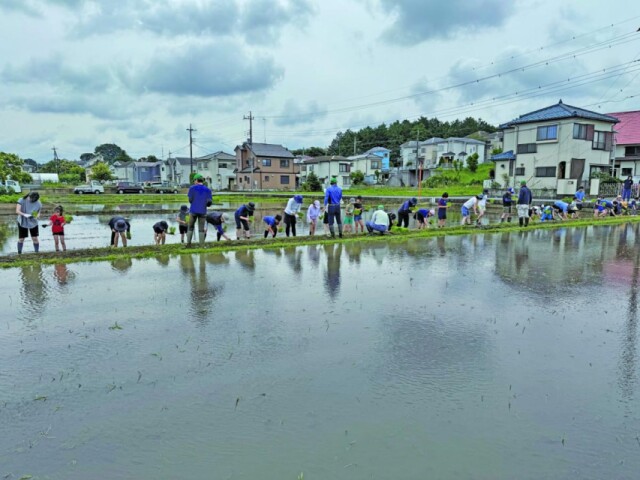 青梅の田んぼで親子農業体験会　20組超が田植え、秋に稲刈りへ