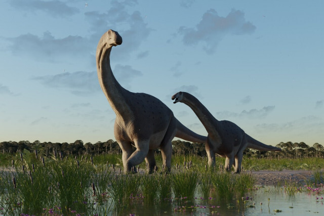新種の恐竜を発見、「衝撃的に小さな巨大恐竜」ティタノマキア