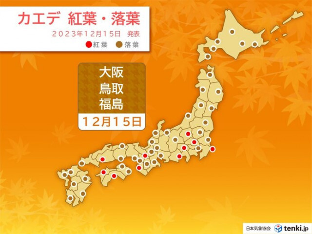 大阪でカエデの落葉　平年より2日遅い　横浜でイチョウの落葉　週末は冬の厳しい寒さ