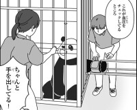 日本で初めて「パンダの採血」に成功！“スーパーパパパンダ”が切り拓いたパンダの健康管理法とは【独占取材】