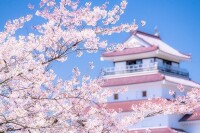 今週末(4月20日・21日)の桜見頃はここ！東・西日本の5分咲き〜満開を迎えるお花見名所ガイド