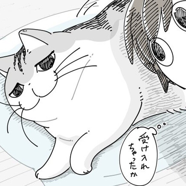 【ネコ漫画】大好きな飼い主の枕から離れない愛猫!?その姿に「喜んでる」「かわいすぎる」と共感の声続々！