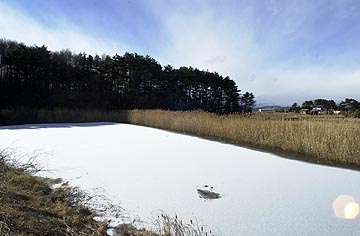 ため池の雪