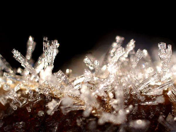 霜の結晶