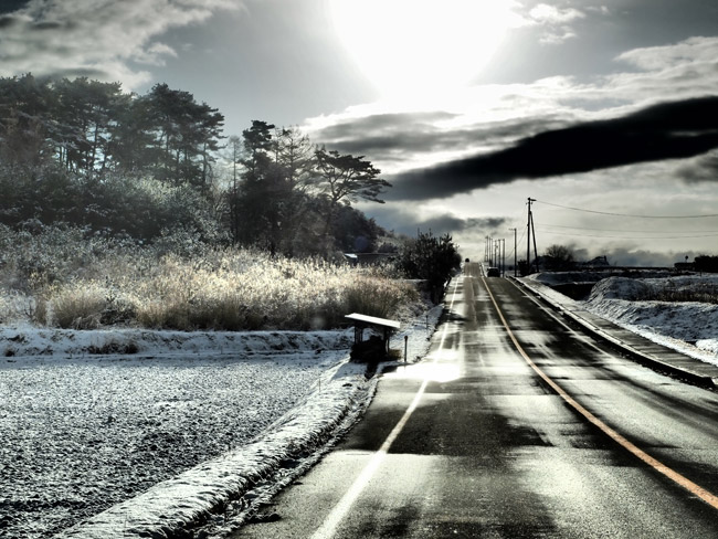 雪の朝の道
