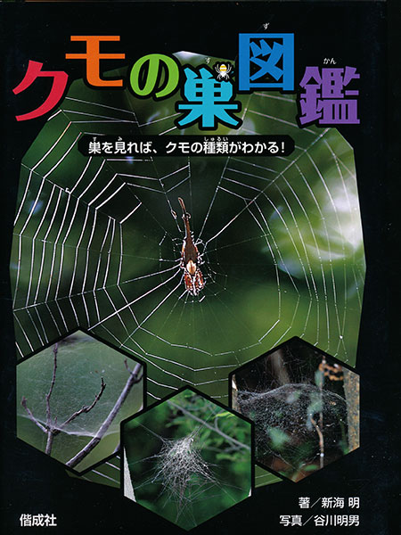 クモの巣図鑑