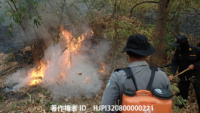 タイの山火事
