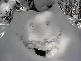 おばけ発見！雪原では思いがけない自然のオブジェが見つかることも。