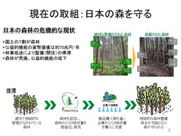 現在の取組：日本の森を守る