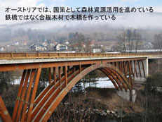 PPT：合板木材の橋の写真