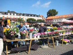 市場の花屋