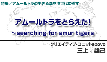 アムールトラの生きる森を次世代に残す 第98回 アムールトラをとらえた！〜searching for amur tigers