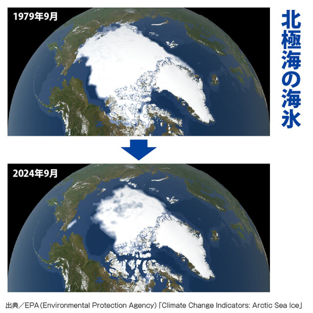 人気ブランド 海外通販 - 国内入手困難 北極圏の氷が消える？ 日本に及ぼす影響は？ - コラム - 緑のgoo 自然科学と技術