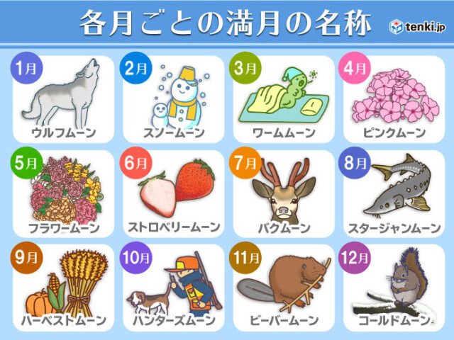 きょう18日は満月 ワームムーン 九州の太平洋側や北海道では見られそう コラム 緑のgoo