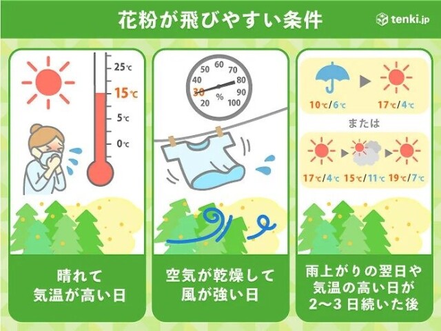 花粉情報 スギ花粉からヒノキ花粉へ 雨のあと大量飛散 ピーク終了時期の見通し コラム 緑のgoo 花粉情報 スギ花粉からヒノキ花粉へ 雨のあと大量飛散 ピーク終了時期の見通し コラム 緑のgoo