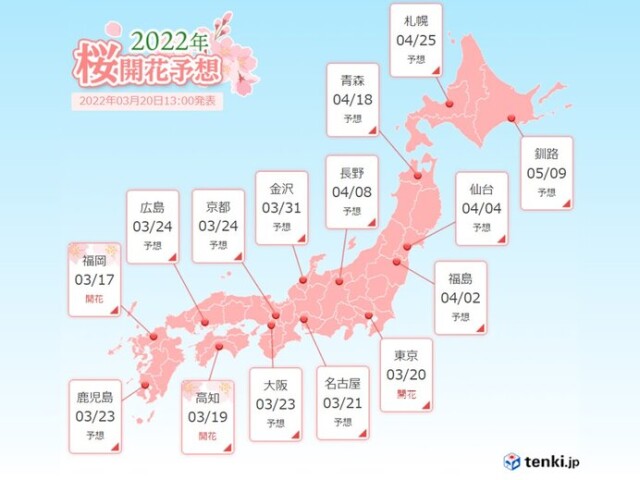 きょう東京で桜開花 あす以降は各地で桜開花ラッシュへ 最新の桜見頃予想 コラム 緑のgoo