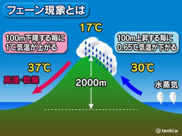 画像B
