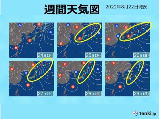 画像C