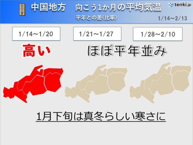 画像C