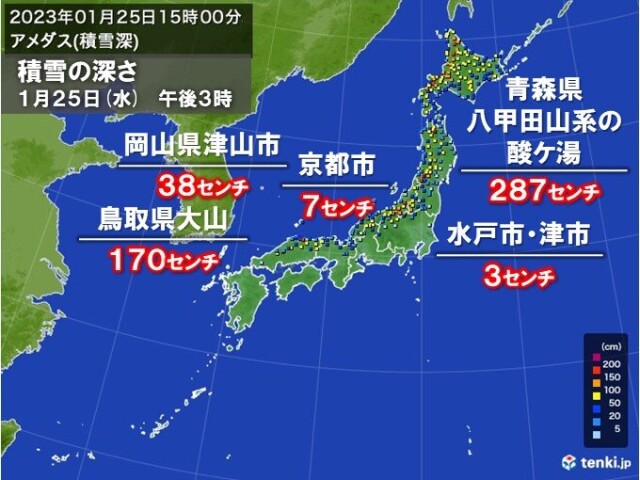 画像A