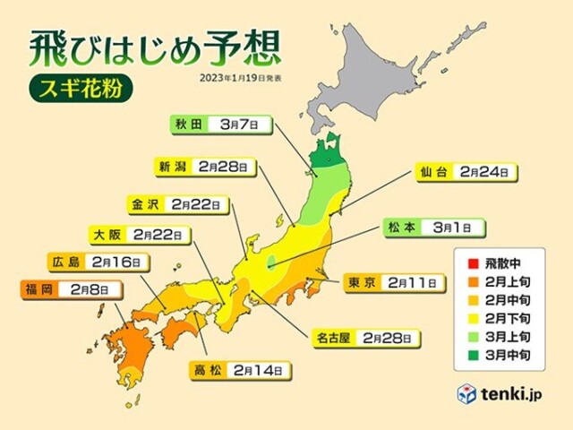 画像A