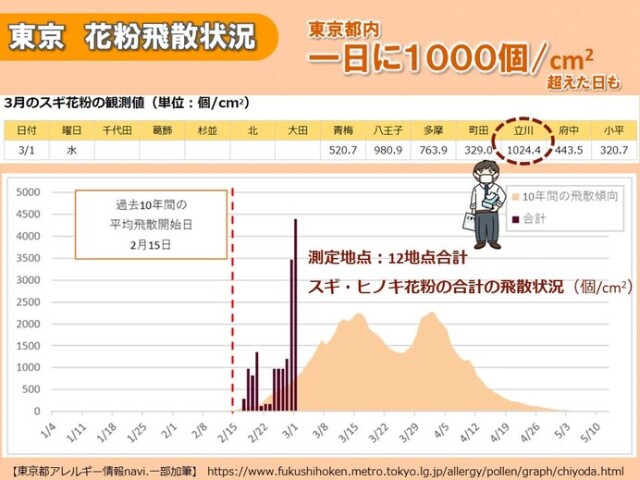 画像A