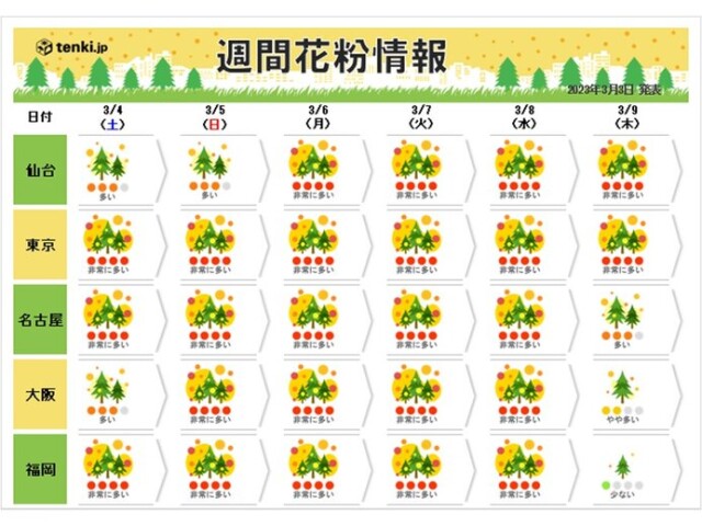 画像C