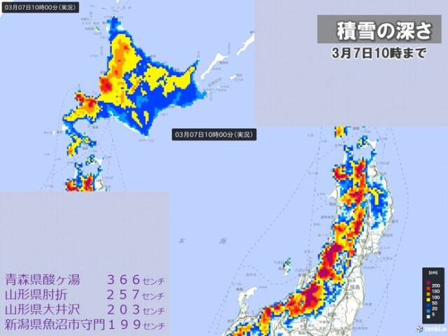 画像B
