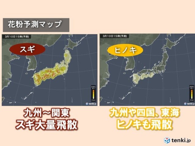 画像A