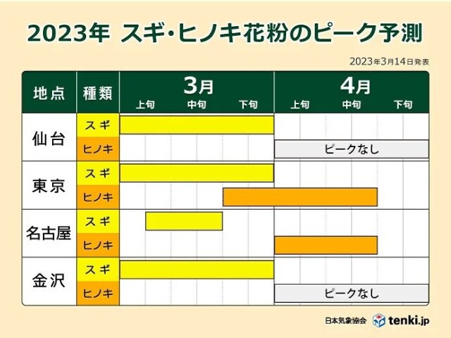画像D