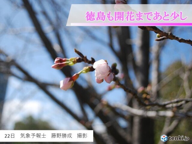 画像B